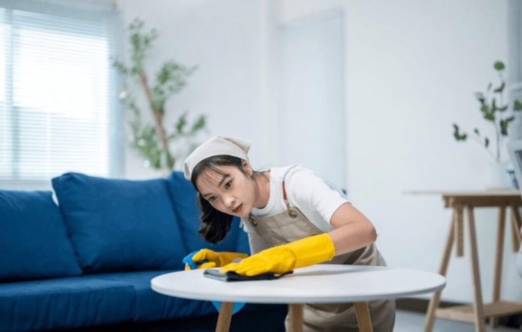 cleaning (15)
